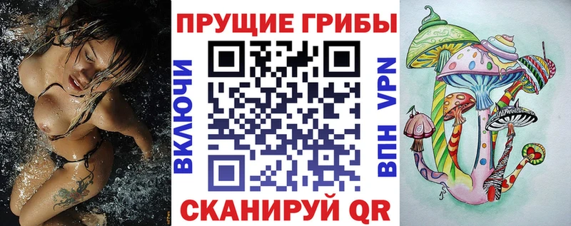 Галлюциногенные грибы Psilocybe  Щёлкино 